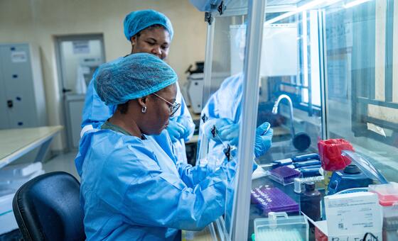 OMS redobra esforços para conter ebola